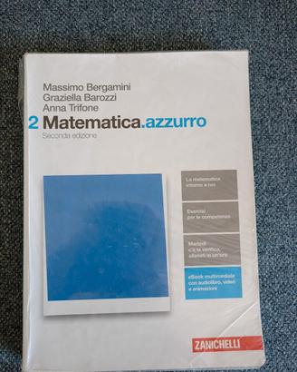 matematica azzurro 2