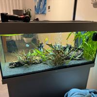 Acquario juwel 180 litri