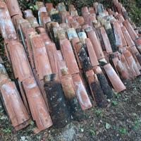 coppi in buono stato