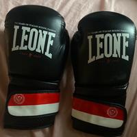 guantoni da BOX Leone