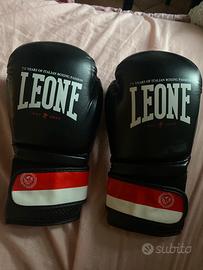 guantoni da BOX Leone