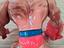 Immagine 3