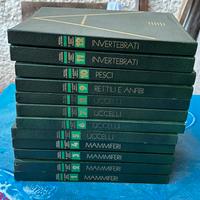 Enciclopedia “Il Mondo degli Animali” – Completa.