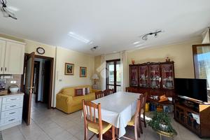 3 LOCALI A NOVAFELTRIA