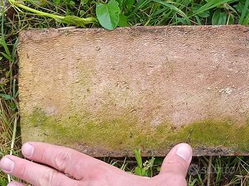 mattoni rossi antichi fine 1800