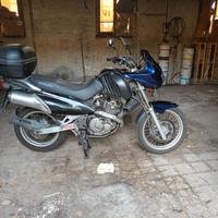 SUZUKI XF 650 FREEWIND