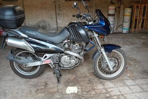 SUZUKI XF 650 FREEWIND