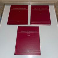 ATLANTE DI ANATOMIA - SOBOTTA