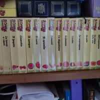 libri