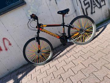 bici Montana 