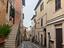Immagine 13