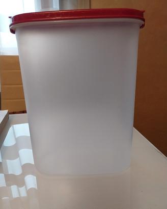 ovale tupperware 2.3l