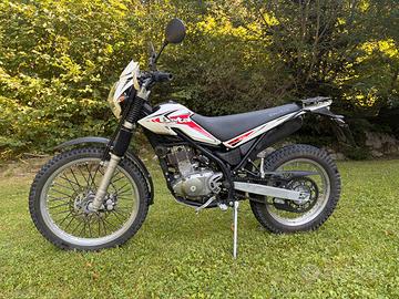 Beta Alp 200