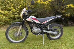 Beta Alp 200