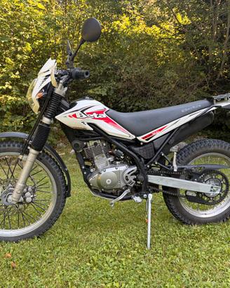 Beta Alp 200
