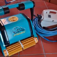 Robot Dolphin Dynamic 