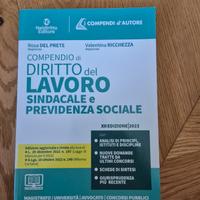 Compendio di diritto del lavoro, 2023