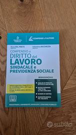 Compendio di diritto del lavoro, 2023