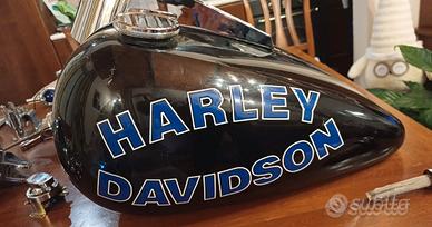 Accessori Harley-Davidson