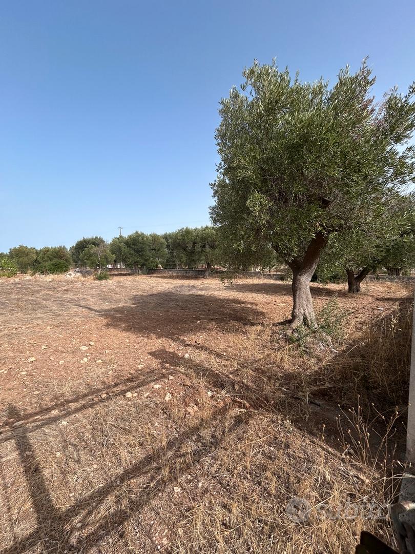 Comodo Terreno su strada Recintato - Vista 5