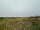 lotti-di-terreno-agricolo