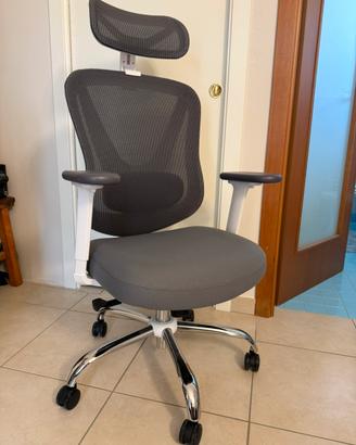 Sedia ergonomica mai usata
