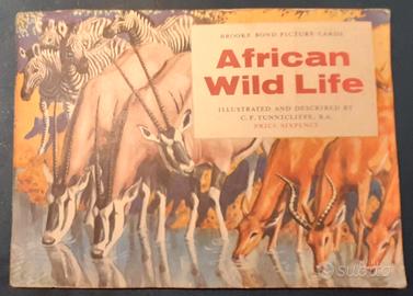ALBUM DI FIGURINE - BROOKE BOND - AFRICAN WILD LIF