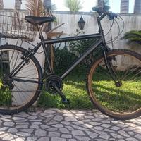 Mountain bike 🚲