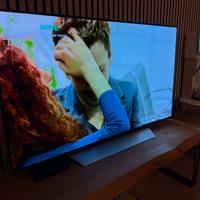 LG OLED 55 pollici funzionante con difetto