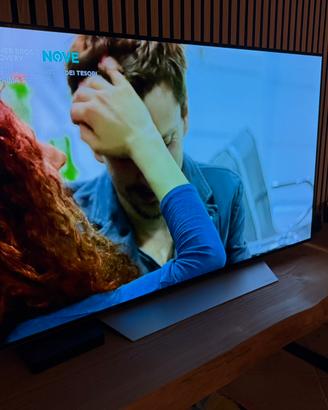 LG OLED 55 pollici funzionante con difetto