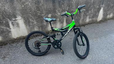 Bicicletta Vicini 20”