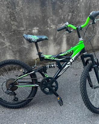 Bicicletta Vicini 20”