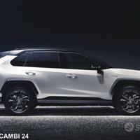 Frontale e portiere Toyota Rav4 2019