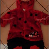 Vestito carnevale coccinella