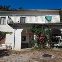 Villa immersa nel verde + terreni