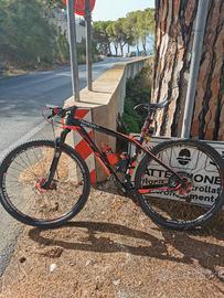 Mountain bike