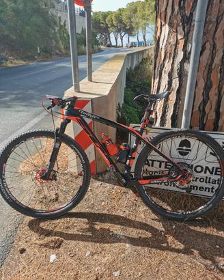 Mountain bike