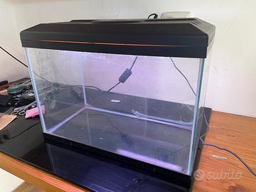Acquario