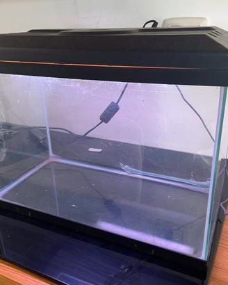 Acquario