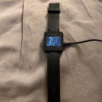 Garmin VivoActive