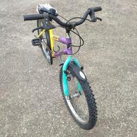 bicicletta
