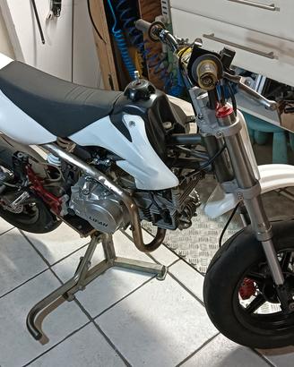 Pit bike Motard PBS 160