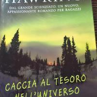 caccia al tesoro nell universo.