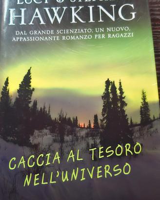 caccia al tesoro nell universo.