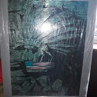 Serigrafia su alluminio di un capo indiano