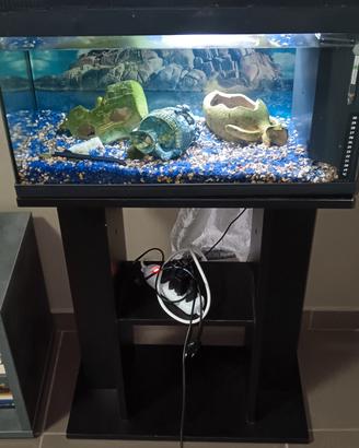 Aquario 