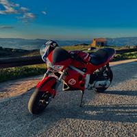 Gilera DNA