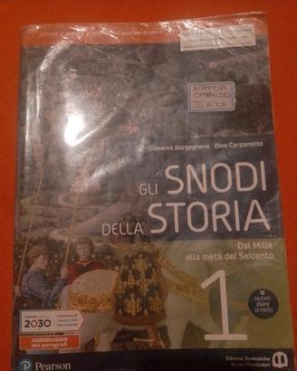 Gli snodi della storia