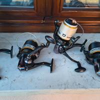 Mulinelli Carpfishing