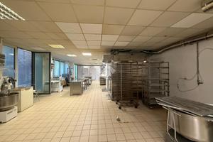LABORATORIO A CASTIGLIONE DELLE STIVIERE